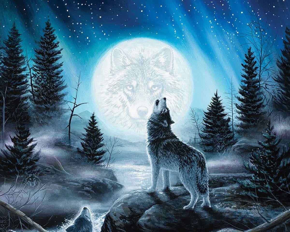 Картина по номерам волк воет на луну